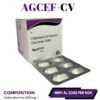AGCEF CV