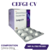 CEFGI-CV