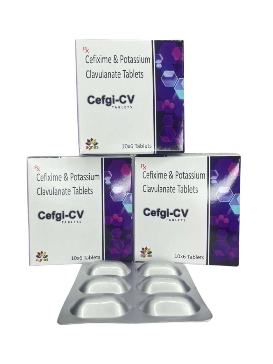 CEFGI-CV - Image 3