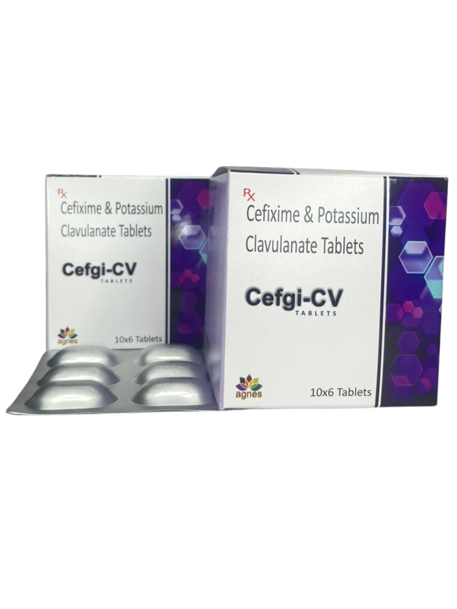 CEFGI-CV - Image 2