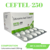 CEFTEL 250