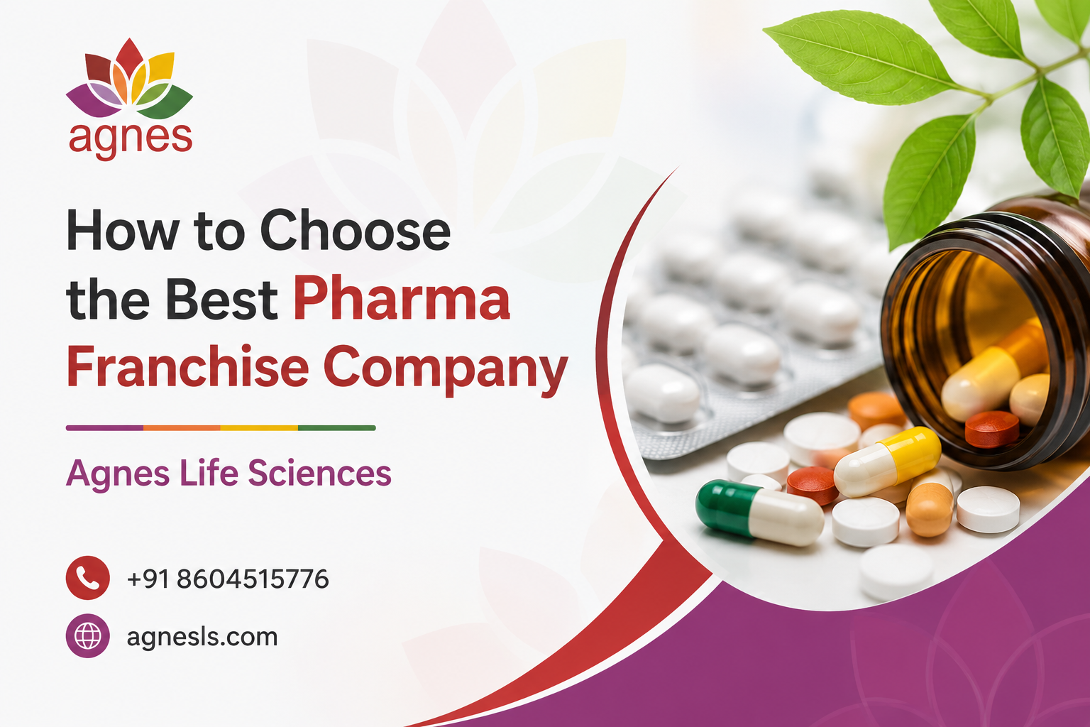 How to Choose the Best Pharma Franchise Company